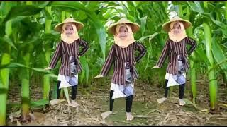 lagu tari menanam jagung