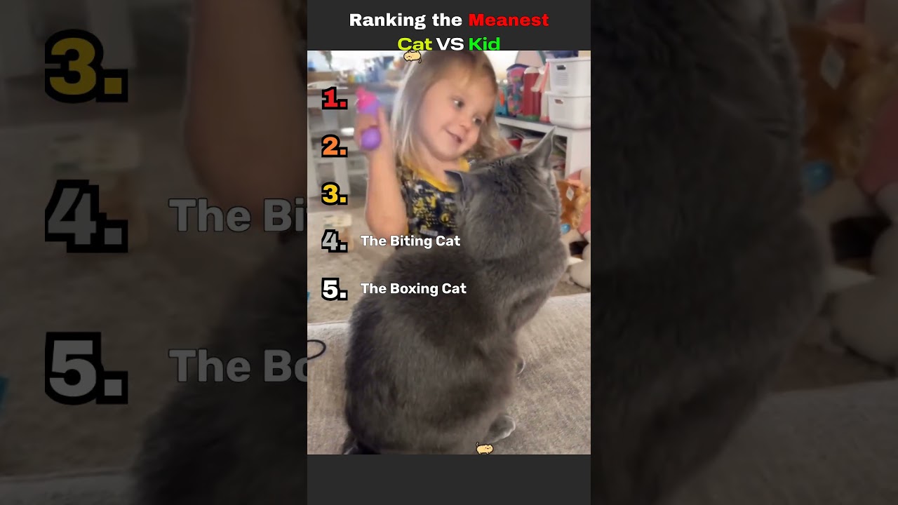 Ranking The Meanest Cats VS Kids in 2026!  #cat #funny #baby #ranking