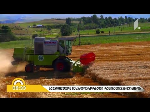 #ბიზნესპარტნიორი საქართველომ, შესაძლოა, ხორბალი რუმინეთისგან შეიძინოს