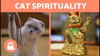 DO CATS ABSORB NEGATIVE ENERGY ? | Myth or Reality