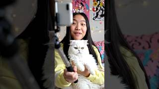viral krdo #comedy #funny #cute #puppy #funnycats #viral #vlog #binakuchbolyviral #ytviral #youtuber