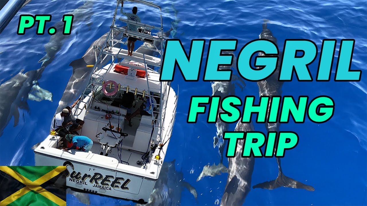 Whales and Dolphins In Negril Jamaica Fishing Vlog! jamaica 