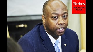Sen. Tim Scott slams calls to raise the minimum wage.
