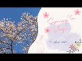 Spring vlog avril 2024 15