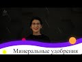 Минеральные удобрения. 9 класс.