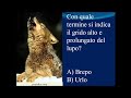 Lingua italiana lessico 22.988