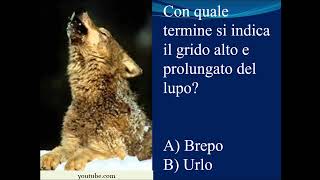 Lingua italiana lessico 22.988