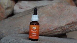 Boost Essence