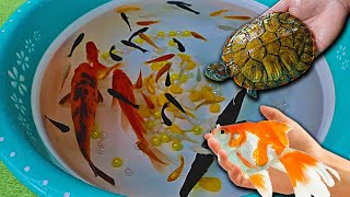 Turtle Ping Pong Betta Ram Guppies Molly Swordtail Carp Baby Fish Goldfish - Cute baby Animals Video