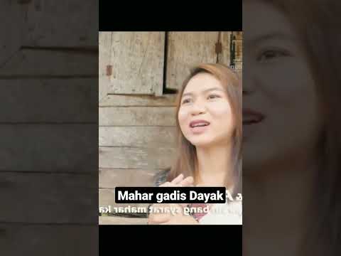 Aksi Masyarakat Dayak Melayu Sintang Kalbar kepada PT.JULONG