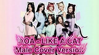 [Male Cover Version] AOA - ‘Like A Cat'