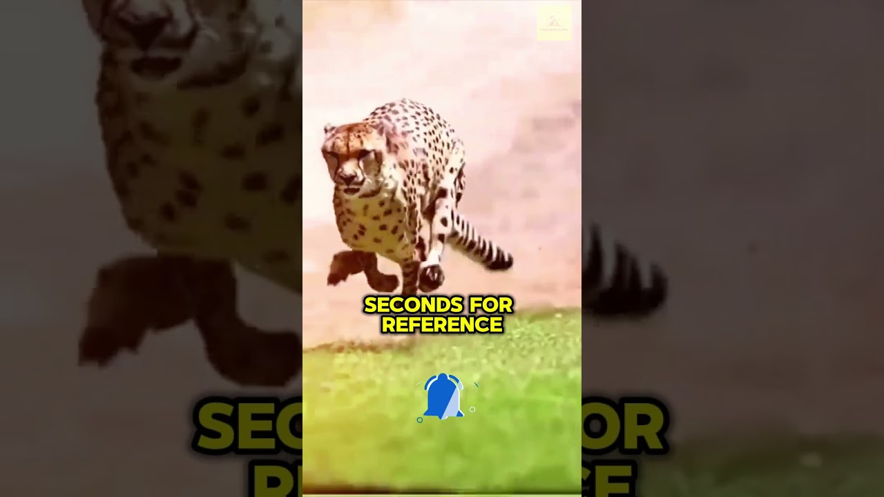 The Fastest Predators! 