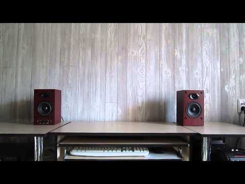 Обзор акустики DNS IGT-250 (Clapton)