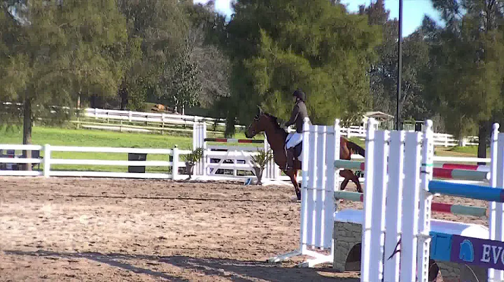 Desiree Clarke and Trail Breaker's First 125cm round