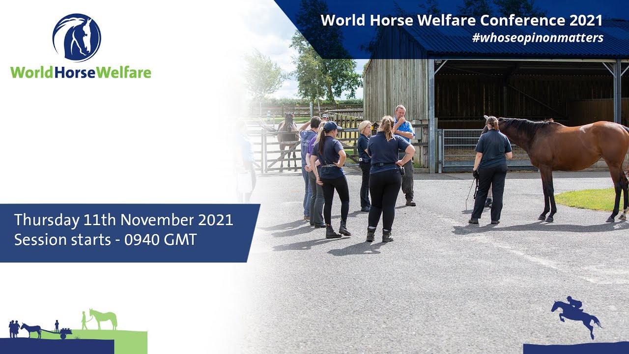 World Horse Welfare Conference 2021 - YouTube
