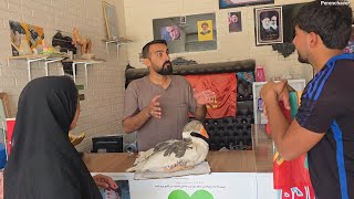 Download lagu 🦢 Taking a Goose to a Specialist: Memories of Karbala and the People of California