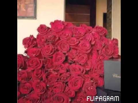 صباح الورد ياورد العمر