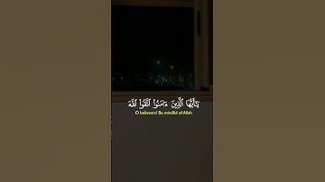 #قرآن #quran #المصحف #تلاوة_خاشعة #راحة_نفسية #اكسبلور #لايك
