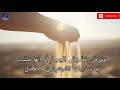 أصعب قصيدة عربية لأمرؤ القيس تعلق قلبي بطفلة عربية