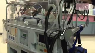 Vitamin K Deficiency Increasingly Common as Result of Vaccine Refusal