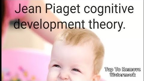 Jean Piaget cognitive development theory. #educationalvidio.