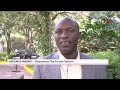 Ugandas tea fetching paltry prices at mombasa auction market  panorama