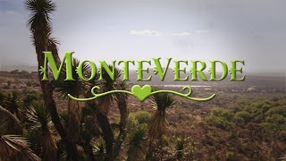 Monteverde | México | Entrada Oficial