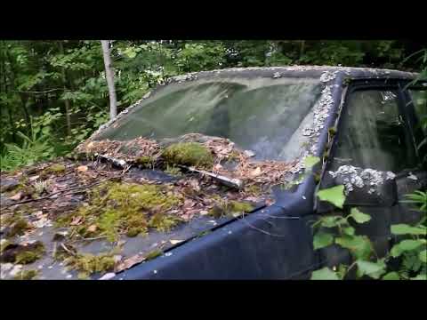 Видео: Находка 90х в лесу
