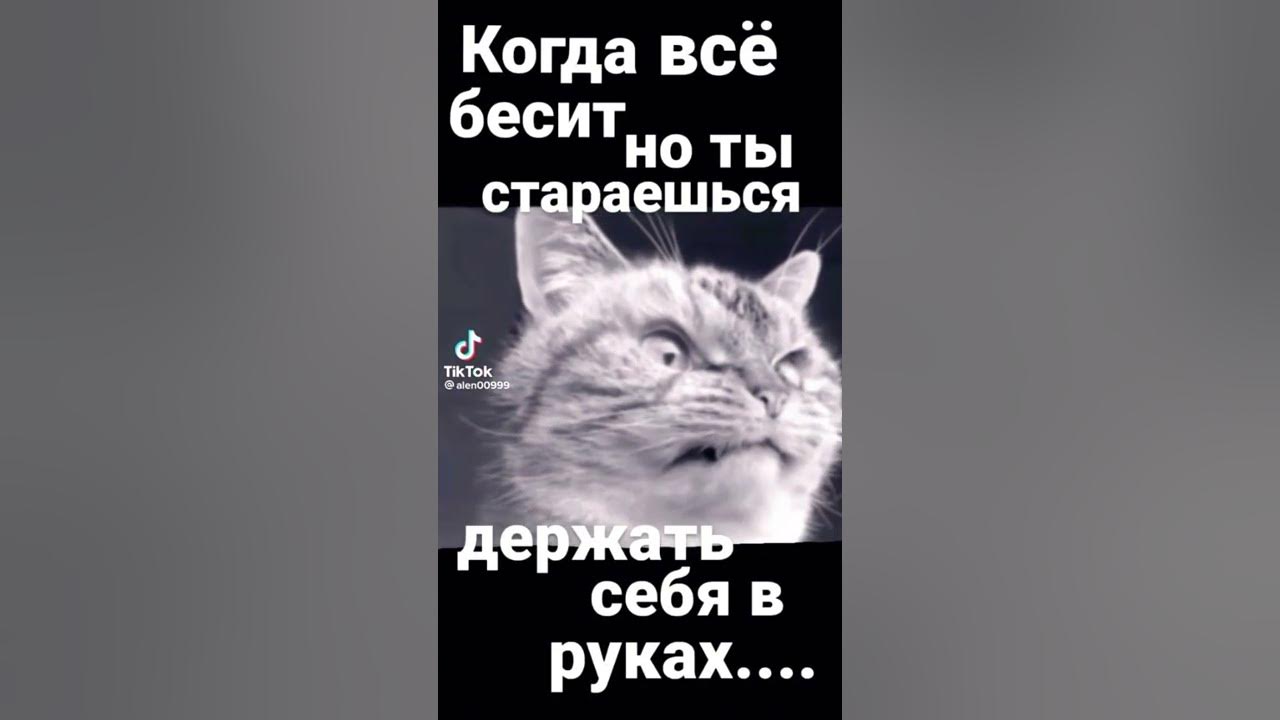Не беси меня картинки. Футболка бесишь женская. Футболка я наказан. Не беси меня картинки. Футболка не беси.