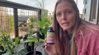 Gardenera 10-10-10 All Purpose Plant Food - Gardener Dream