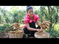 Ginger - How many ways are there to cook them? Prepare By Countryside Life TV