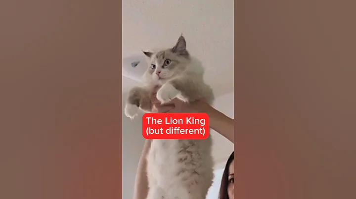 This was my favourite movie as a child so I'm allowed to ruin it #lionking #sketch #comedy