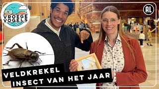 Veldkrekel is Insect van het Jaar | Radio | Vroege Vogels