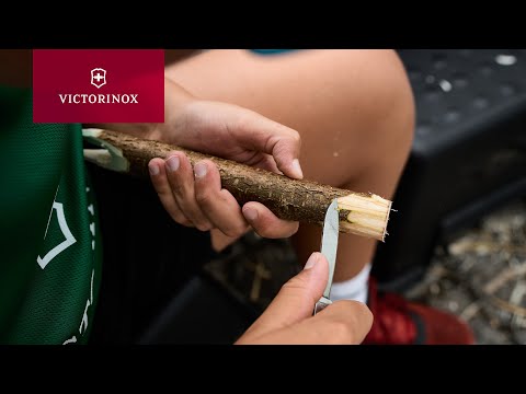 Inspiring Young Minds – Victorinox x MS Sports