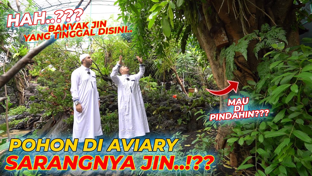 G4WAT NIH..HARUS DI OUT KAH POHONNYA???ATAU..??? INI JAWABAN DARI SYEKH AHMAD AL MISRY