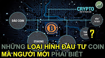5 loại hình đầu tư trong thị trường tiền ảo dành cho người mới bắt đầu với Crypto