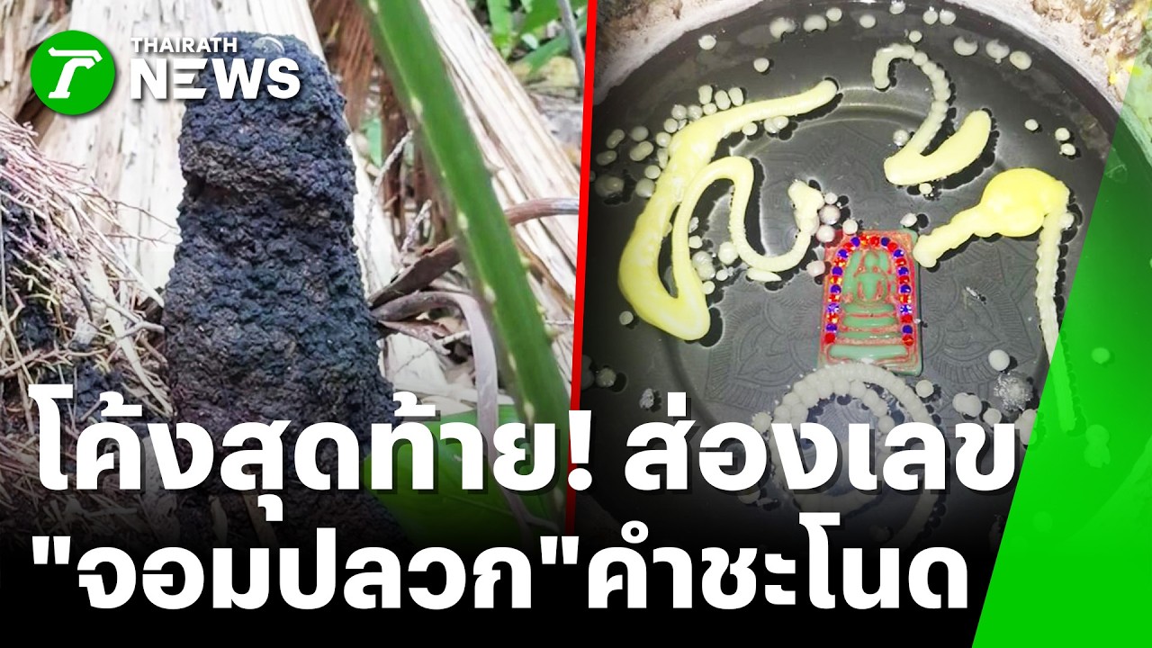 Video Thumbnail