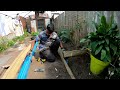 Garden Raised Beds | Garden Renovation Part 3