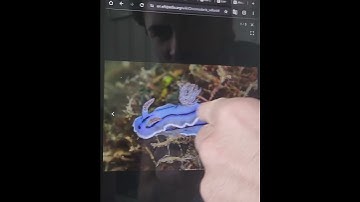 Field work with gaia.eco