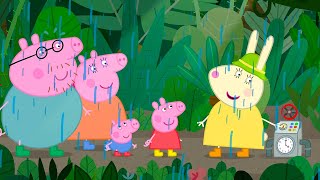 The Very Rainy Rainforest ☔️ | Peppa Pig  Full Episodes