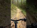 Weed Patch - Brown County, IN #mtb #mountainbike #cycling #indiana