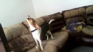Max sings Happy Birthday to his Nana Happy Birthday to youuuu Arooo...