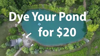 ✅ How to Dye a Pond for $20  Blue Colorant  Reduce Algae and Weed Growth