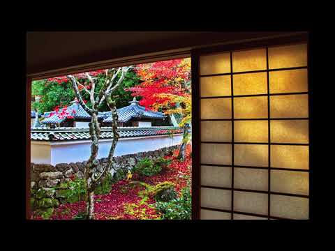 感激を求めて　『清瀧寺徳源院』秋の情景　11月18日～21日　滋賀県米原市