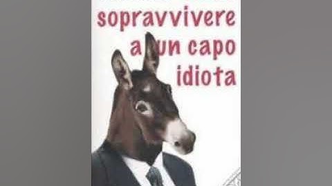 How to work for an idiot ---  2.12 Idiot Bosses  [59 to 60]