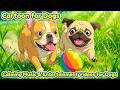 24 Hours Dog Cartoons 🐶 Keep Dogs Busy, Calm, and Comfortable | Relaxing Music for Dogs
