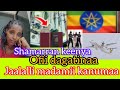 Ofii Eegannoo Shamarran Keenya Mana Madamii Otoo Sin Mudaatin