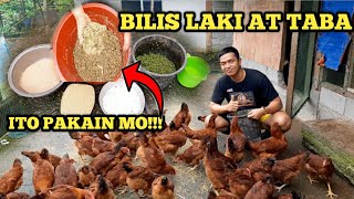 BILIS LUMAKI, MATATABA AT TIPID PA | ITO PAKAIN MO | RHODE ISLAND RED CROSS HUBBARD