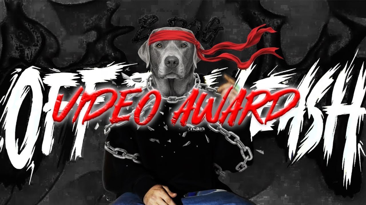 B-Dog 