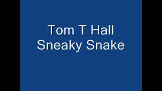 Video thumbnail of "Sneaky Snake"